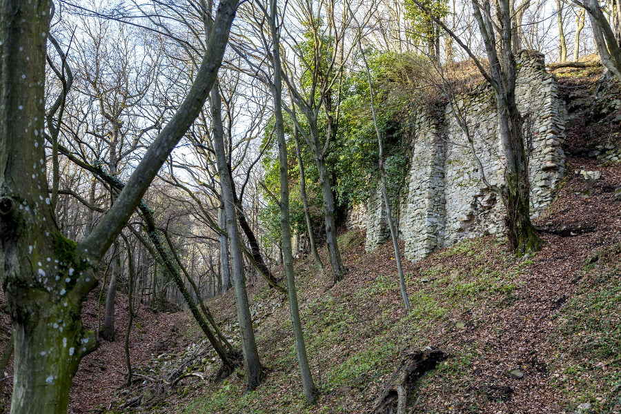 Zrúcanina hradu Biely Kameň