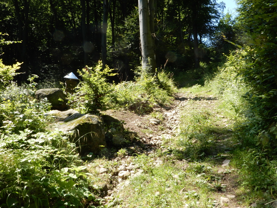 Hliboká cesta v Údolí obrov v Slanských vrchoch vedúca na Oblík. Miesto, kde sa Obria stopa nachádza, sa nedá minúť, upozorňuje na ňu svojpomocne vyrobená značka so strieškou.