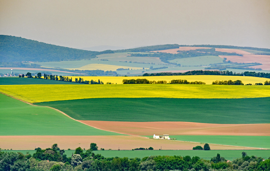 Pohľad na polia z rozhľadne nad obcou Podhorany - Mechenice. © TASR - Henrich Mišovič