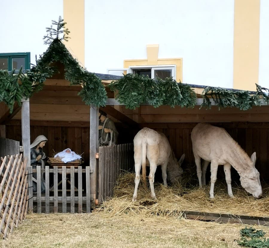 Vianočné trhy v Schloss