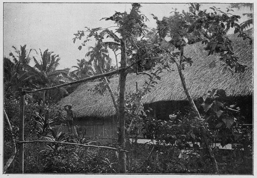 Gauguinov dom na Tahitoch
