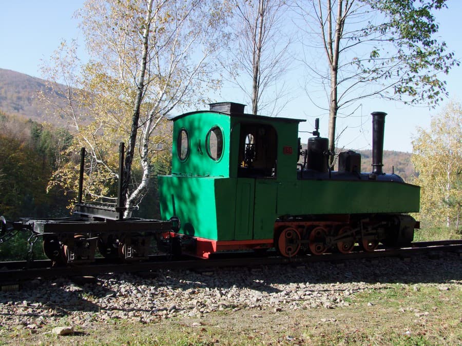 Rušeň s vagónom ilustrujúci niekdajšiu dopravu dreva vyťaženého vo Vihorlatských vrchoch