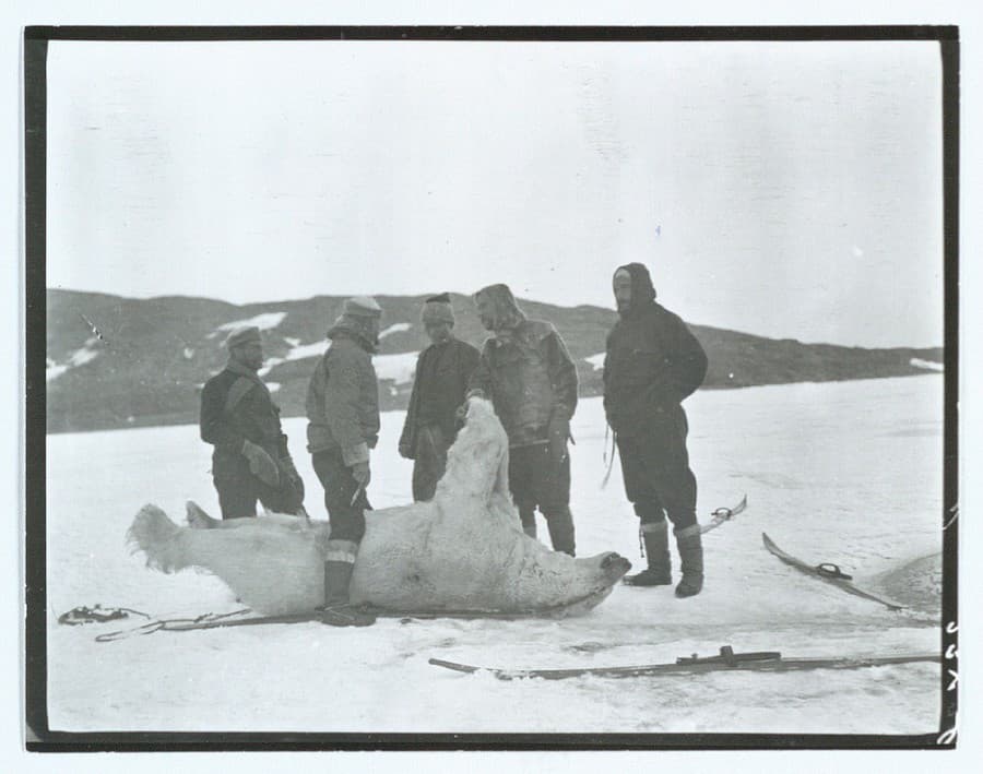 Mylius-Erichsen a ďalší polárnici s uloveným ľadovým meveďom