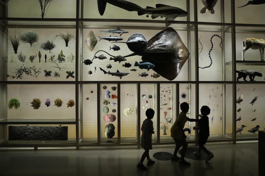 Deti sa hrajú počas návštevy Katarského národného múzea.