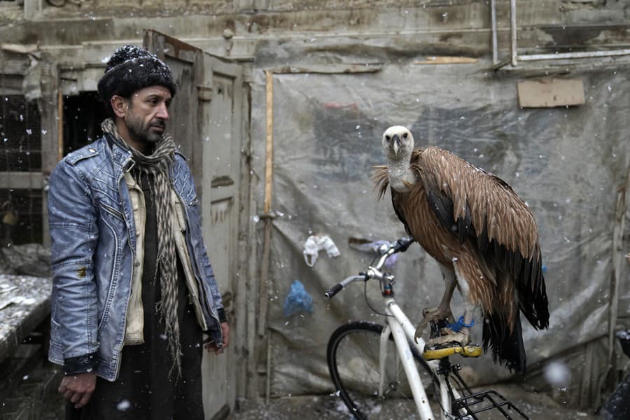 Afganský predavač vtákov ponúka na predaj supa na vtáčom trhu