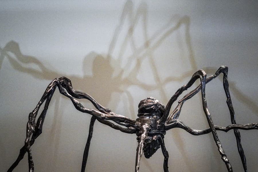 Najdrahší pavúk sveta: Monumentálnu
