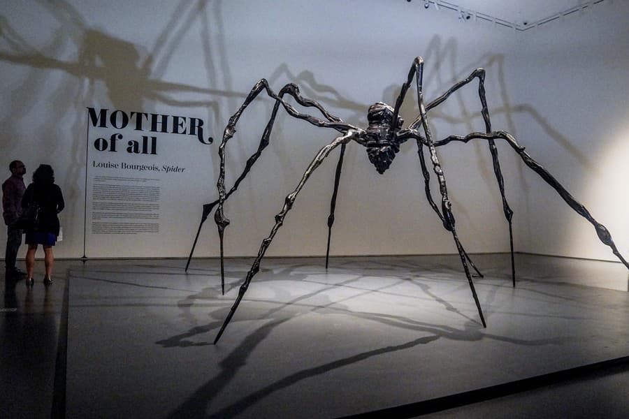 Najdrahší pavúk sveta: Monumentálnu