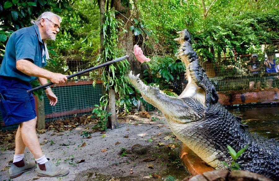 Najväčším krokodílom v zajatí