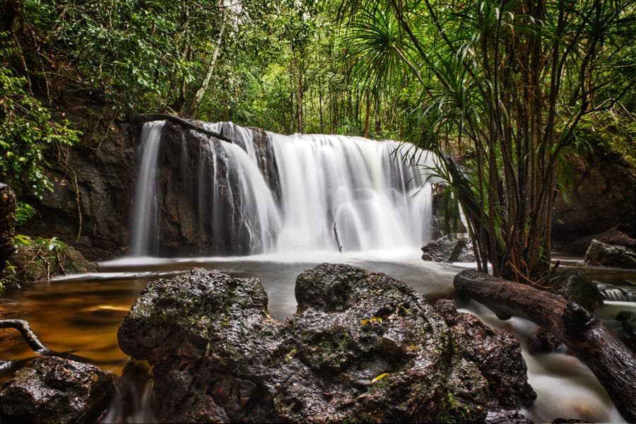 Národný park Phu Quoc pokrýva až 70 % plochy celého ostrova.