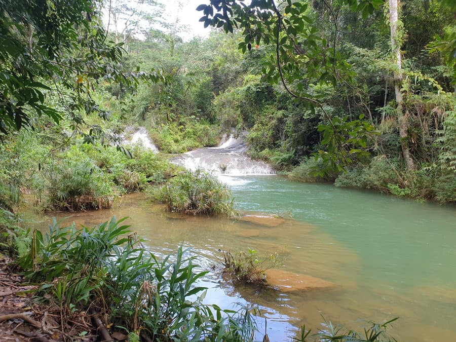 FOTOREPORTÁŽ: Dažďový prales Guanayara
