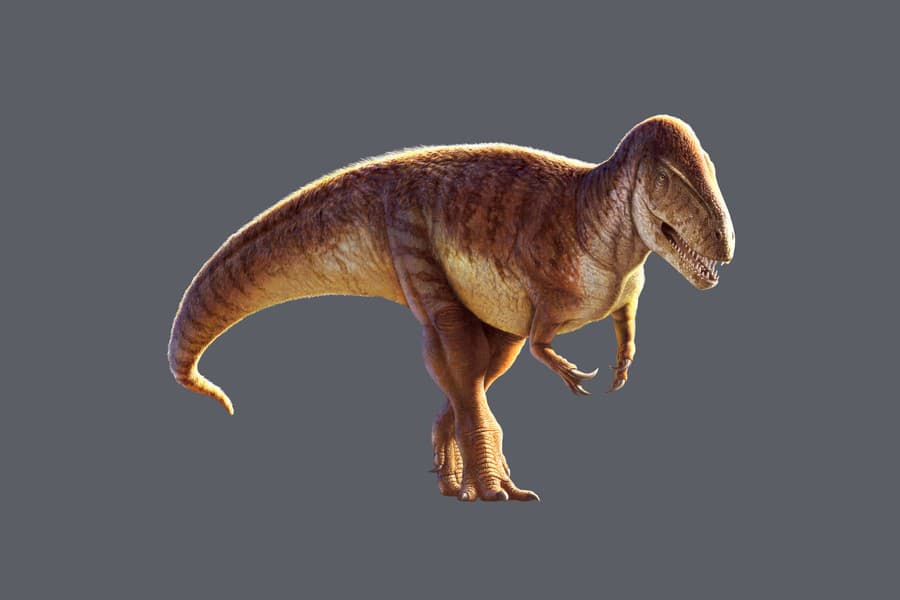 Súčasná rekonštrukcia Megalosaura