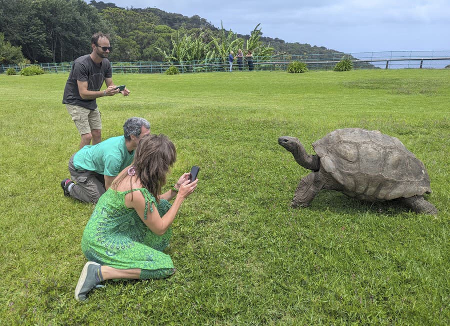 Turisti si fotografujú 192-ročnú korytnačku Jonathana na trávniku Plantation House, oficiálneho sídla guvernéra na ostrove Svätej Heleny