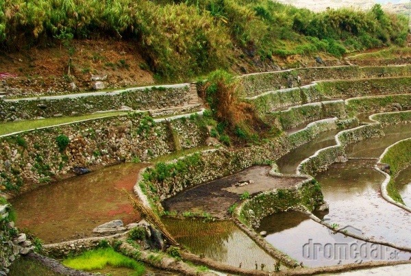Terasovité ryžové polia, Filipíny