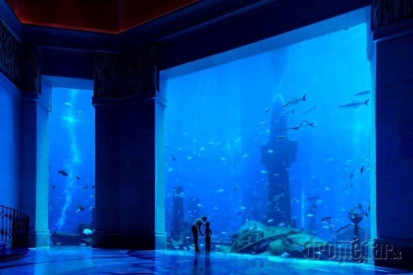 Vodný svet dubajského Atlantisu