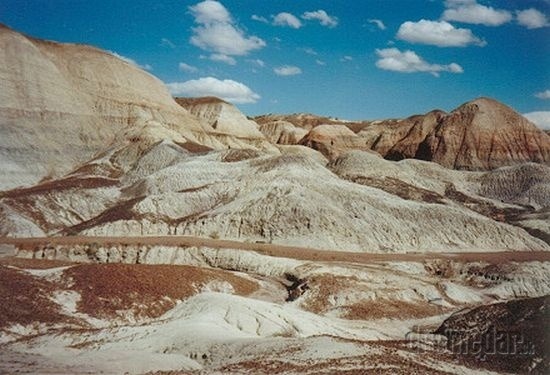 Skamenený les, USA