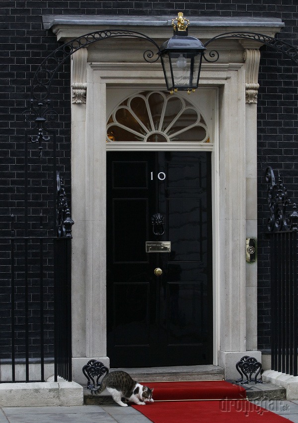 Ulica Downing Street
