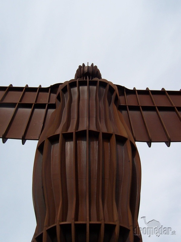 Anjel severu, Gateshead