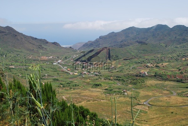 El Palmar, Tenerife, Kanárske