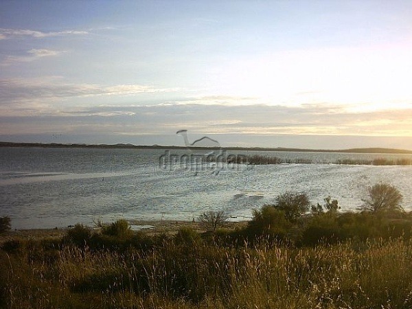 Lagúna Murray, Kengurí ostrov
