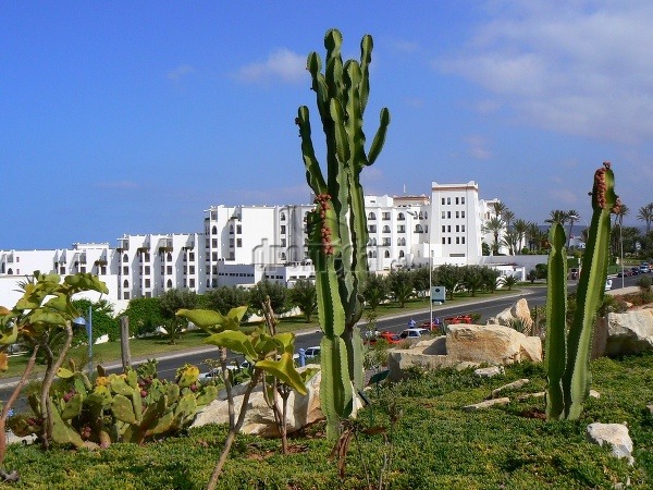 Maroko