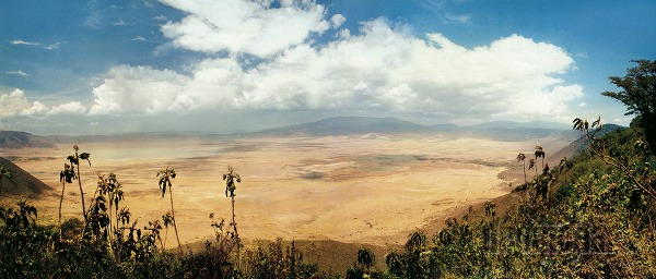 Kráter Ngorongoro, Tanzánia