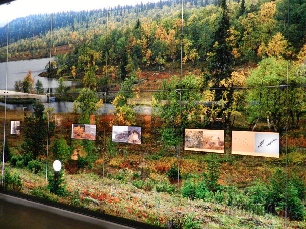 múzeum Siida, Inari, Fínsko