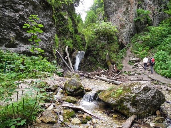Terchová