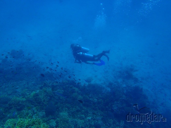 potápanie v Egypte