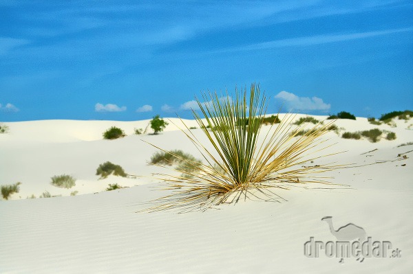 Národný park White Sands