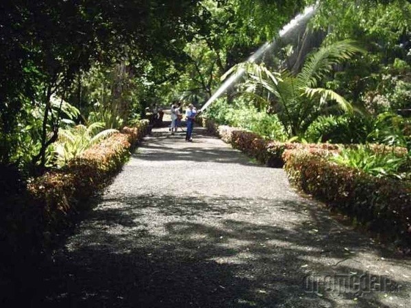 Botanická záhrada v Puerto