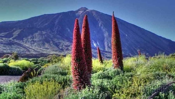Pico de Teide, Tenerife,