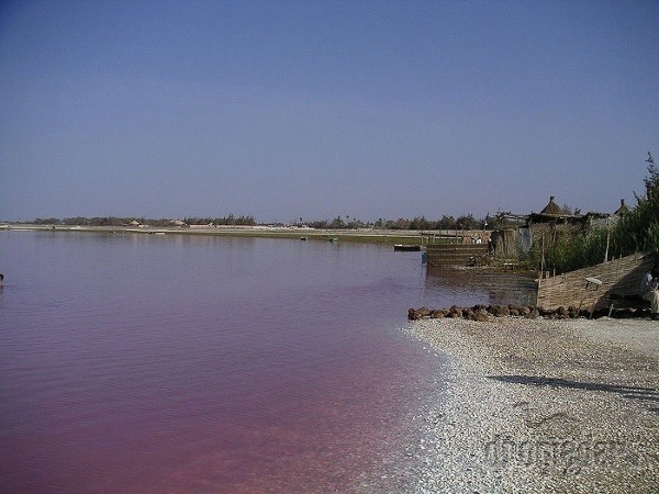Jazero Lac Rose, Senegal