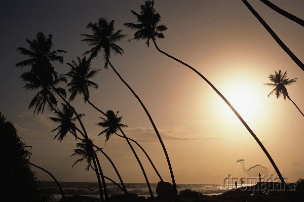Srí Lanka