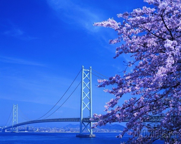 Akashi Kaikyo Bridge, Japonsko
