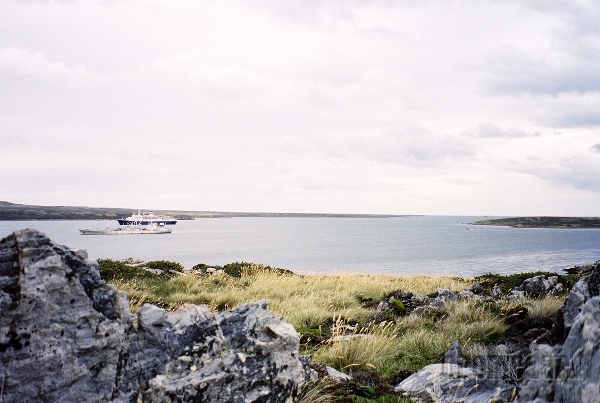 Prístav Wiliam, Falklandské ostrovy