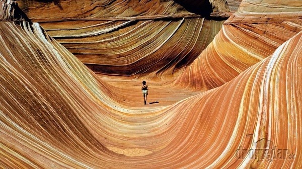 Wave, Arizona