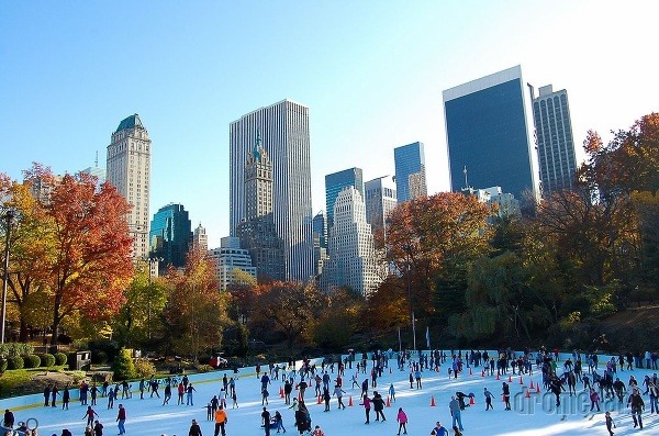Central Park, New York