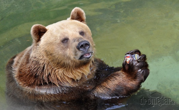 Zoo Bojnice