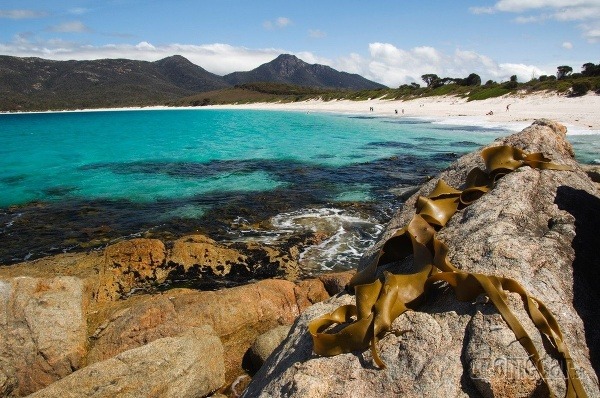 Wineglass Bay, Austrália