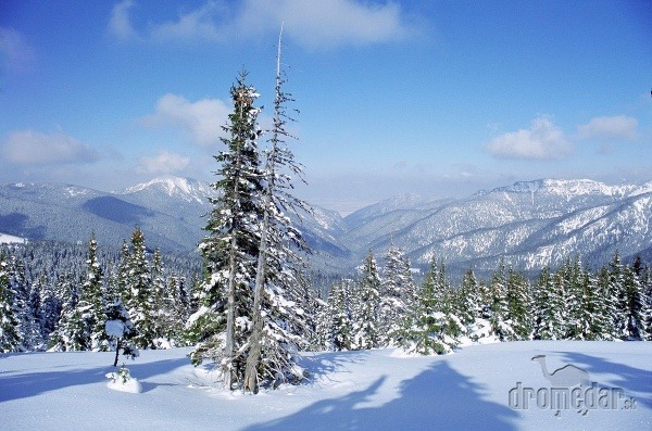 Demänovská dolina, Nízke Tatry