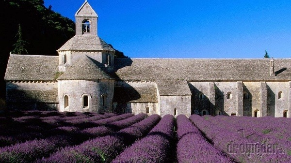 Levanduľové polia, Francúzsko