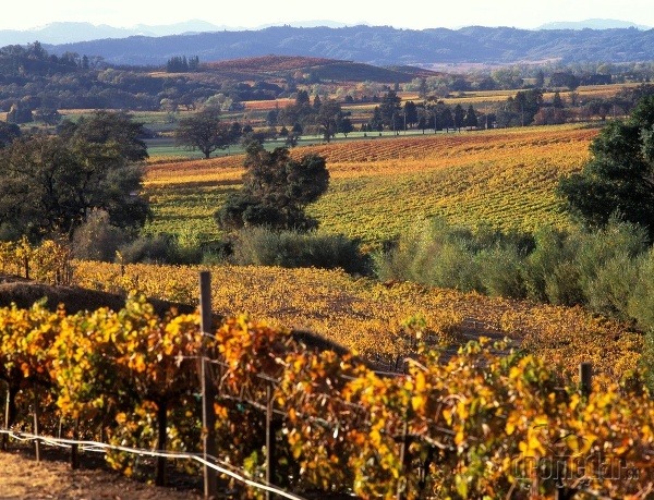 Sonoma Valley, Kalifornia, USA