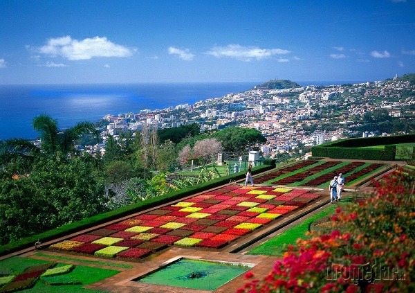 Funchal, Madeira, Portugalsko