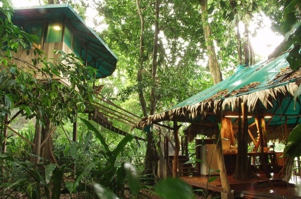 Tree House Lodge, Limón, Kostarika