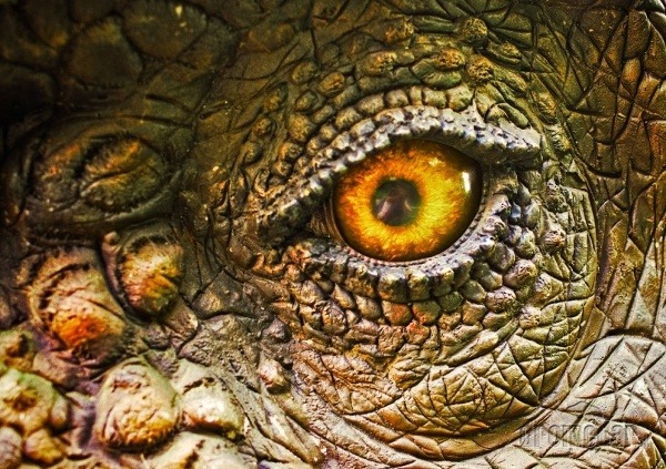 Dinopark