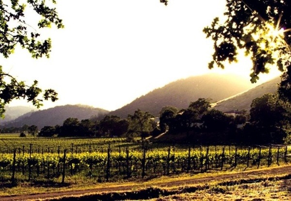 Napa Valley, Kalifornia, USA