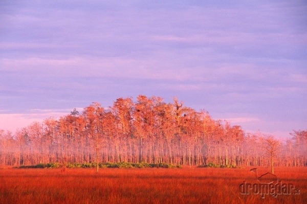 Národný park Everglades, Florida,