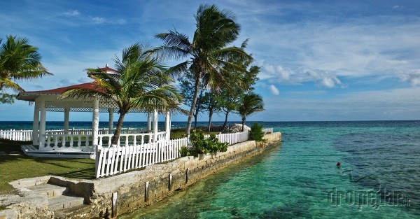 Bahamy