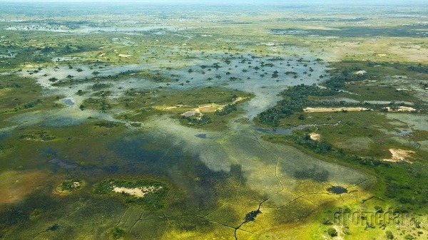 Delta rieky Okavango, Botswana