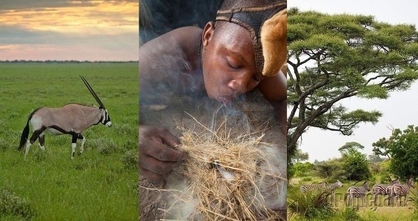 Každodenná Botswana